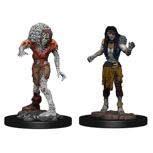 Miniature D&D: D&D Nolzur Mum Drowned Assassin&Ascetic - Jack the Collector