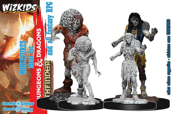 Miniature D&D: D&D Nolzur Mum Drowned Assassin&Ascetic - Jack the Collector